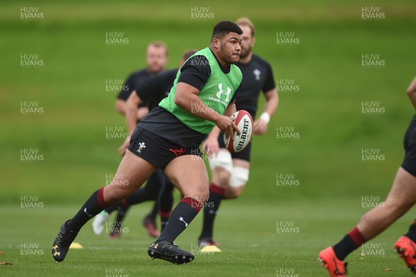 131117 - Wales Rugby Training - Leon Brown