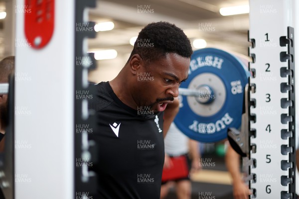 140823 - Wales Rugby Gym Session at the start of the week ahead of their final Rugby World Cup warm up game against South Africa - Christ Tshiunza during training
