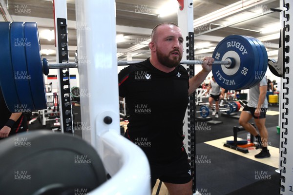 141122 - Wales Rugby Training - Dillon Lewis during a gym session