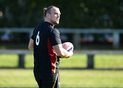 Wales Rugby Training 150617