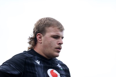 Wales Rugby Training 151124