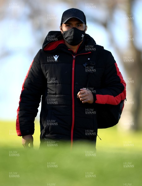 160321 - Wales Rugby Training - Willis Halaholo during training