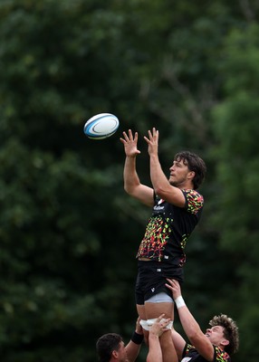 160626 - Wales Rugby Training - Teddy Williams during training
