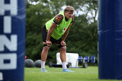 160626 - Wales Rugby Training - Taine Plumtree during training