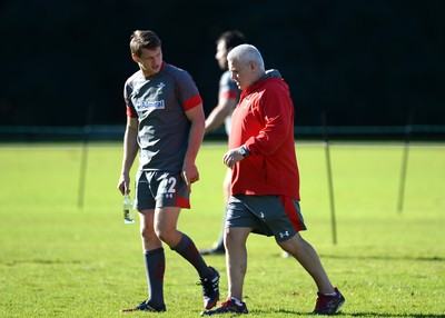 Wales Rugby Training 170614