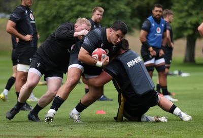170625 - Wales Rugby Training - Chris Coleman during training