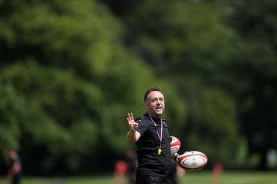 170625 - Wales Rugby Training - Matt Sherratt, Head Coach during training