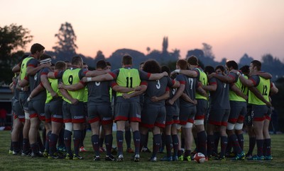 Wales Rugby Training 190614