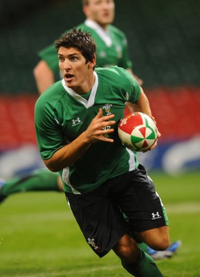 20.11.08 - Wales Rugby Training - Wales' James Hook during training 