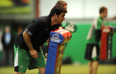 22.02.10 - Wales Rugby Training - Mike Phillips in action during training. 
