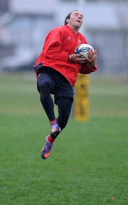 24.06.10 - Wales Rugby Training - Will Harries during training. 