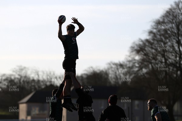 260124 - Wales Rugby Training in the first week of the Gunniess 6 Nations camp - Teddy Williams during training