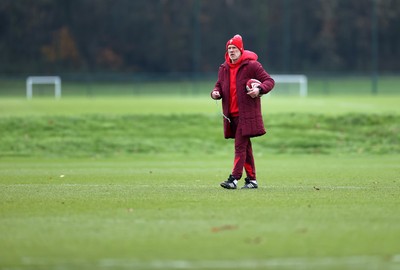 261125 - Wales Rugby Training ahead of their final Quilter Nations Series game against South Africa - Steve Tandy, Head Coach during training
