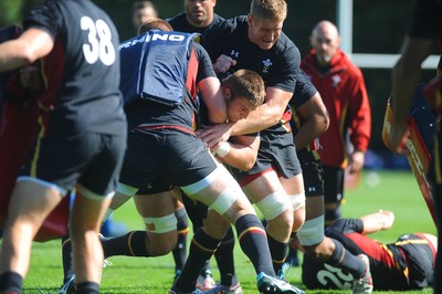 270815 - Wales Rugby Training -Dan Lydiate during training