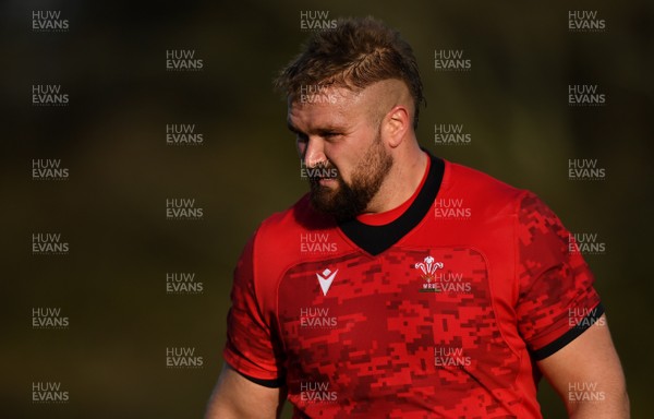 271020 - Wales Rugby Training - Tomas Francis during training