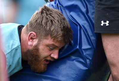 Wales Rugby Training 290517