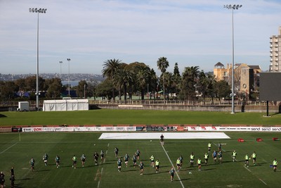 290624 - Wales Rugby Training as they prepare for their Summer Series against Australia - General View of training