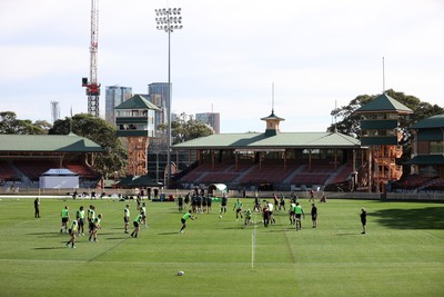 290624 - Wales Rugby Training as they prepare for their Summer Series against Australia - General View of training