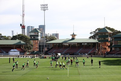 290624 - Wales Rugby Training as they prepare for their Summer Series against Australia - General View of training