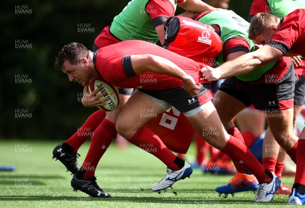 290819 - Wales Rugby Training - Ryan Elias during training
