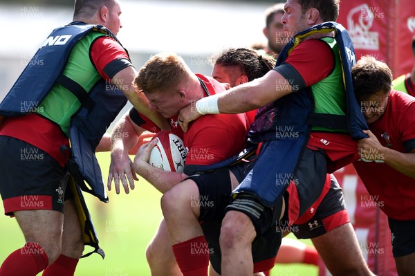 290819 - Wales Rugby Training - Rhys Carre during training