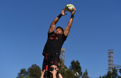 300622 - Wales Rugby Training - Taulupe Faletau during training 