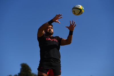 300622 - Wales Rugby Training - Taulupe Faletau during training 