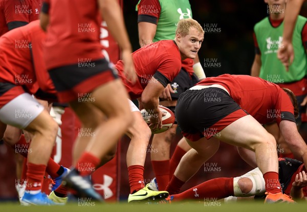 300819 - Wales Rugby Training - Aled Davies during training