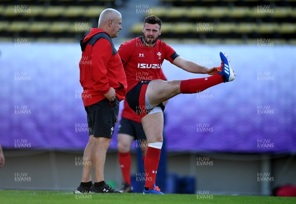 301019 - Wales Rugby Training - Warren Gatland and Owen Lane during training