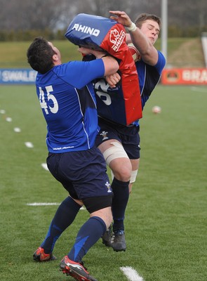 31.01.11 - Wales Rugby Training - Dan Lydiate hits the tackle bag of Rob McCusker during training. 