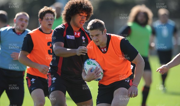 03.09.11 - Wales Rugby Training - Dan Lydiate during training. 