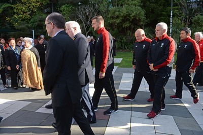 Wales Rugby Welcome to Wellington 150616