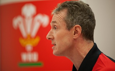 Wales Squad Announcement 150113