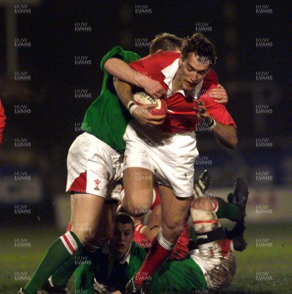 290100 - Welsh Rugby Trial Match -   Jason Jones-Hughes attempts to break through