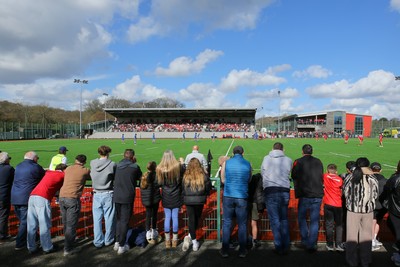140326 - Wales U18 v Italy U18 - A packed Centre of Excellence watch the game