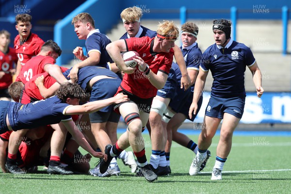 110823 - Wales v Scotland - U18 Festival of Rugby - Alex Ridgeway on the charge 
