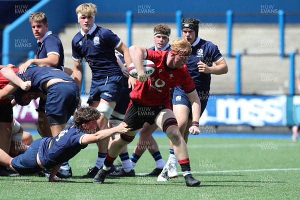 110823 - Wales v Scotland - U18 Festival of Rugby - Alex Ridgeway on the charge