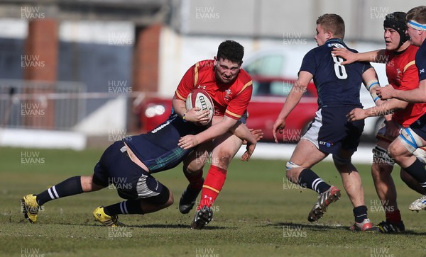 250316 - Wales U18 v Scotland U18, U18 International Series - Harri Hobbs of Wales charges forward