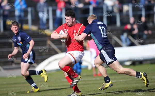 250316 - Wales U18 v Scotland U18, U18 International Series - Harri Hobbs of Wales charges towards the line