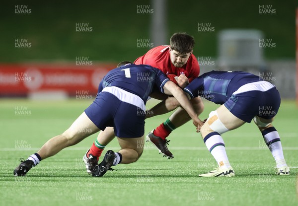 020224 - Wales v Scotland, U20 6 Nations 2024 - Harry Thomas of Wales takes on Robbie Deans of Scotland and Tom Currie of Scotland