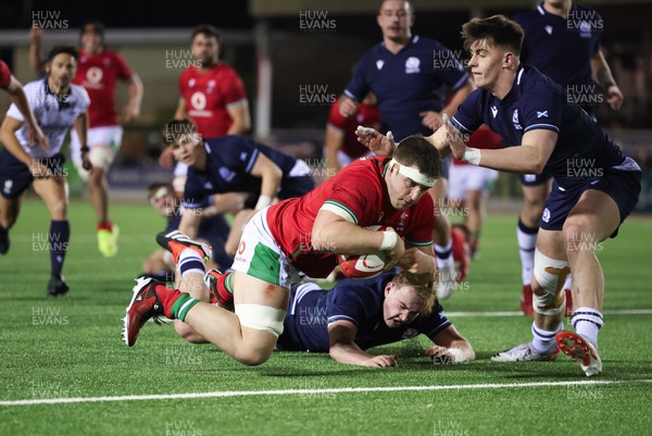 020224 - Wales v Scotland, U20 6 Nations 2024 - Morgan Morse of Wales powers through to score try