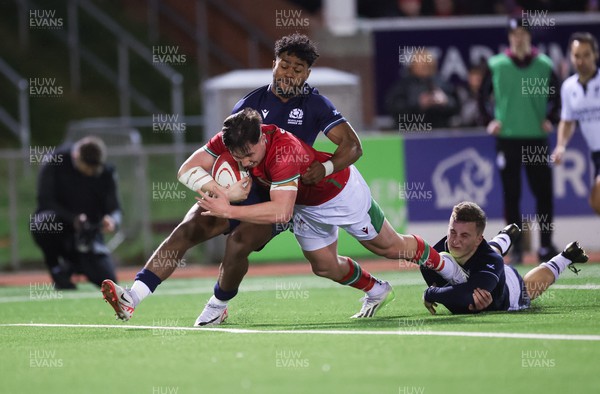 020224 - Wales v Scotland, U20 6 Nations 2024 - Harri Ackerman of Wales powers over to score his second try