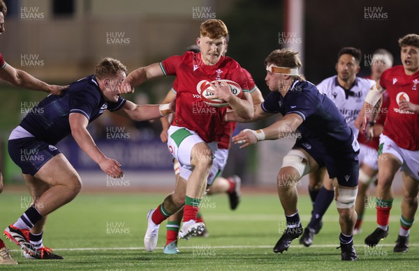 020224 - Wales v Scotland, U20 6 Nations 2024 -Walker Price of Wales charges forward