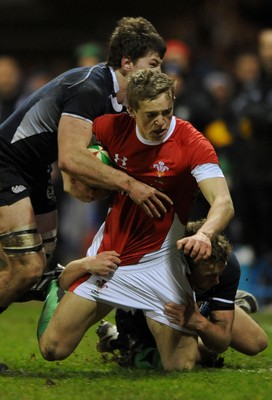 12.02.10 - Wales Under 20 v Scotland Under 20 - Under 20 Six Nations - Owen Williams of Wales is stopped by the Scottish defence. 
