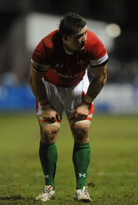 12.02.10 - Wales Under 20 v Scotland Under 20 - Under 20 Six Nations - Morgan Allen of Wales. 