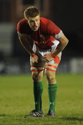 12.02.10 - Wales Under 20 v Scotland Under 20 - Under 20 Six Nations - Macauley Cook of Wales. 