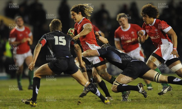 12.02.10 - Wales Under 20 v Scotland Under 20 - Under 20 Six Nations - Josh Navidi of Wales. 