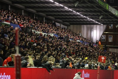 140325 - Wales U20s v England U20s - U20s Six Nations Championship - The crowd watch the game