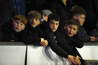 140325 - Wales U20 v England U20 - Six Nations Chamionship - fans