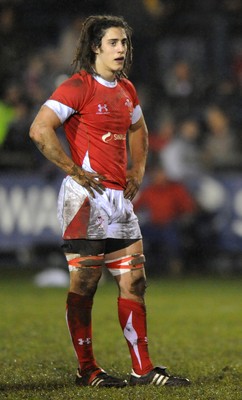 13.02.09 - Wales U20 v England U20 - Under 20 Six Nations 2009 - Wales' Josh Navidi. 